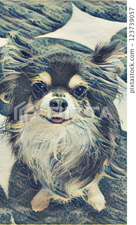 Recommended Chihuahua 123739057
