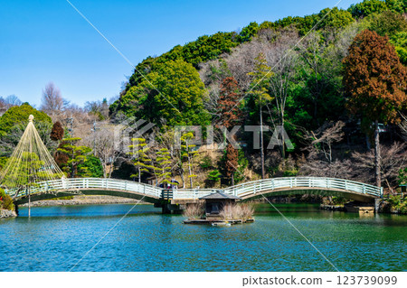 町田市、東京都指定名勝藥師池公園、梅園、太鼓橋 町田市、東京都指定名勝藥師池公園、梅園、太鼓橋 123739099