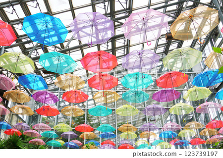 Colorful umbrella sky 123739197