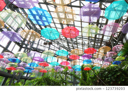 Colorful umbrella sky 123739203