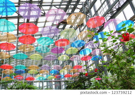 Colorful umbrella sky 123739212