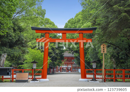 京都：初夏的下鴨神社：忠之森 - 第二鳥居 - 塔門 123739605