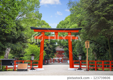 Kyoto: Shimogamo Shrine in early summer: Tadasu no Mori - Second Torii - Tower Gate Kyoto: Shimogamo Shrine in early summer: Tadasu no Mori - Second Torii - Tower Gate 123739606
