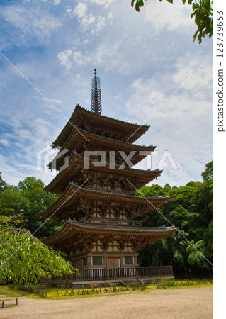 京都醍醐寺五重塔 京都醍醐寺五重塔 123739653