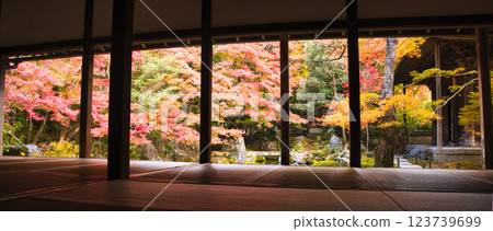 京都美麗的秋葉 - 圖片照片 123739699