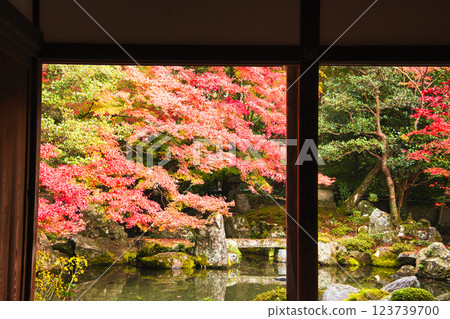 京都美麗的秋葉 - 圖片照片 123739700