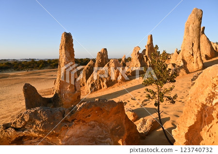 The Pinnacles, 10 Desert Rock Formations 123740732