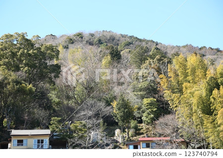 A park on the way back from Atagawa Onsen 123740794