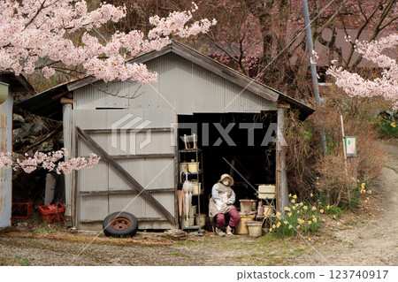 Spring scenery of scarecrow village Spring scenery of scarecrow village 123740917