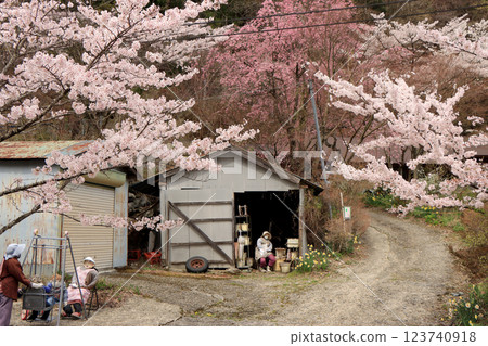 Spring scenery of scarecrow village 123740918