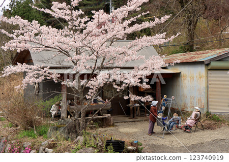 Spring scenery of scarecrow village 123740919