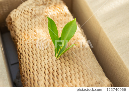Green leaf on eco friendly brown paper honeycomb wrap for product packaging parcel carton box 123740966