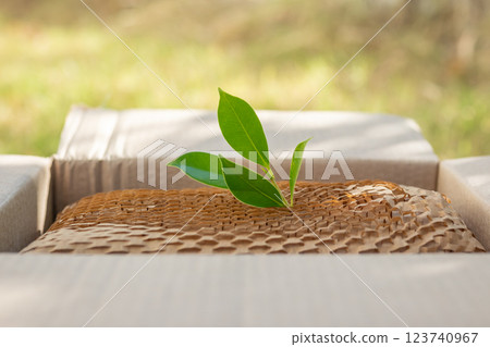 Green leaf on eco friendly brown paper honeycomb wrap for product packaging parcel carton box Green leaf on eco friendly brown paper honeycomb wrap for product packaging parcel carton box 123740967