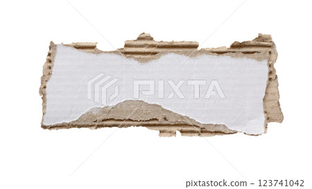 piece of white paper tear isolated on white background 123741042