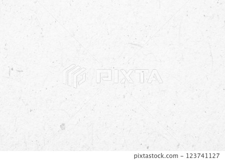 White recycle craft paper cardboard surface texture background White recycle craft paper cardboard surface texture background 123741127