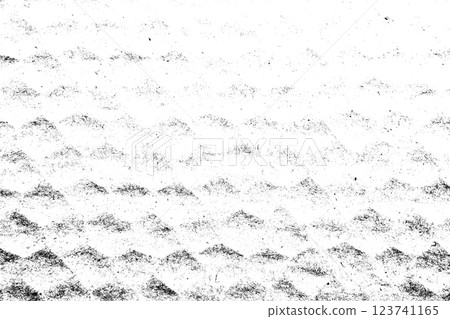 Abstract grunge black and white distressed texture background 123741165
