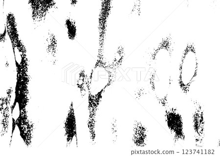 Abstract grunge black and white distressed texture background 123741182