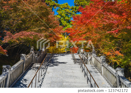 靜岡縣袋井市寶田山尊永寺的參道被紅葉染成的風景 123742172