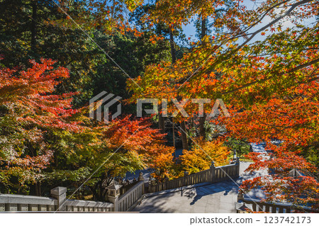 靜岡縣袋井市寶田山尊永寺的參道被紅葉染成的風景 靜岡縣袋井市寶田山尊永寺的參道被紅葉染成的風景 123742173