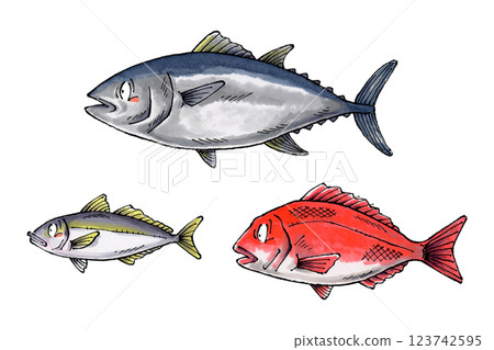 Tuna, Sea Bream, Horse Mackerel 123742595