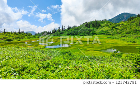 夏季登山火內山、妙高山（高屋池） 123742781