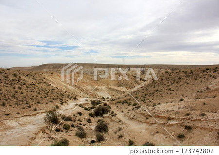 landscape in the Judean Desert in southern Israel 123742802