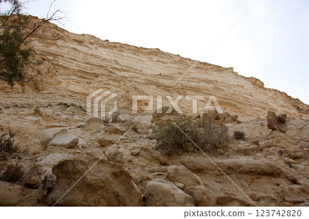 landscape in the Judean Desert in southern Israel 123742820