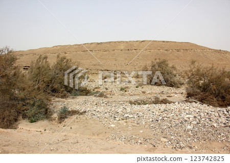 landscape in the Judean Desert in southern Israel landscape in the Judean Desert in southern Israel 123742825