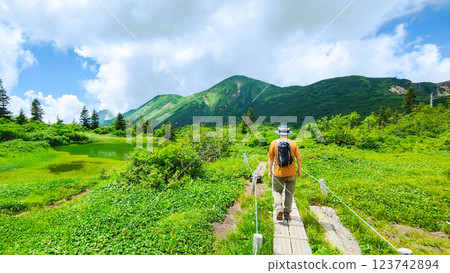 Hiuchi-san and Myoko-san mountain climbing in summer (Takaya Pond to Tengu Garden) 123742894