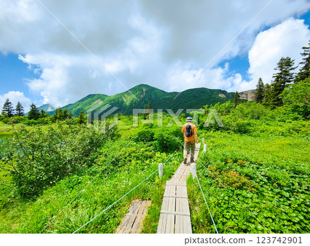 夏季登山火內山、妙高山（高屋池～天狗園） 123742901
