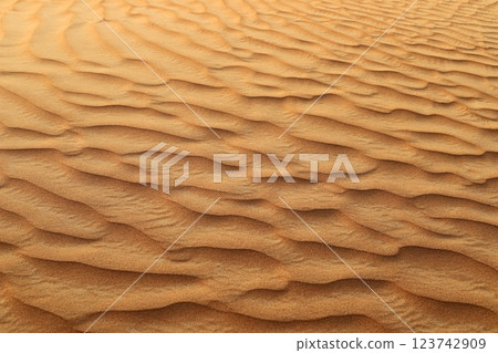 landscape in the Judean Desert in southern Israel 123742909