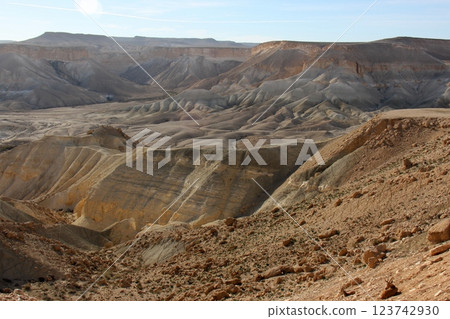 landscape in the Judean Desert in southern Israel 123742930