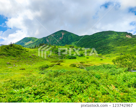 夏季登山火內山、妙高山（天狗庭園、火內山） 123742967