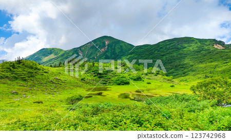夏季登山火內山、妙高山（天狗庭園、火內山） 123742968