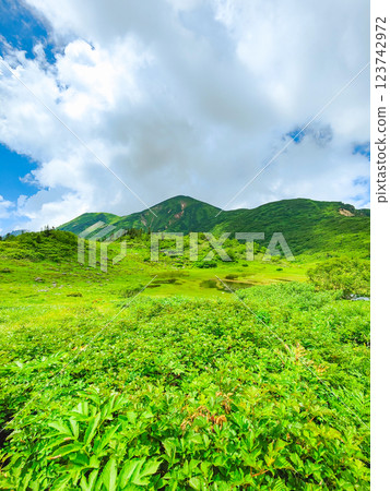 Hiuchiyama and Myokoyama mountain climbing in summer (Tengu Garden and Hiuchiyama) 123742972