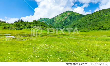 夏季登山火內山、妙高山（天狗庭園、火內山） 123742992