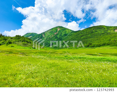 夏季登山火內山、妙高山（天狗庭園、火內山） 123742993