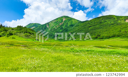 Hiuchiyama and Myokoyama mountain climbing in summer (Tengu Garden and Hiuchiyama) Hiuchiyama and Myokoyama mountain climbing in summer (Tengu Garden and Hiuchiyama) 123742994