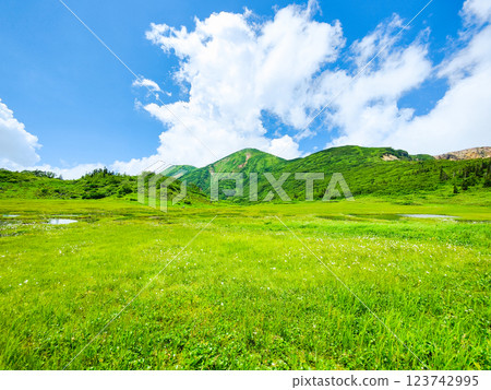 夏季登山火內山、妙高山（天狗庭園、火內山） 123742995