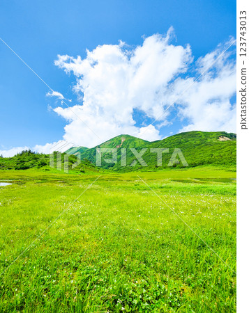夏季登山火內山、妙高山（天狗庭園、火內山） 123743013