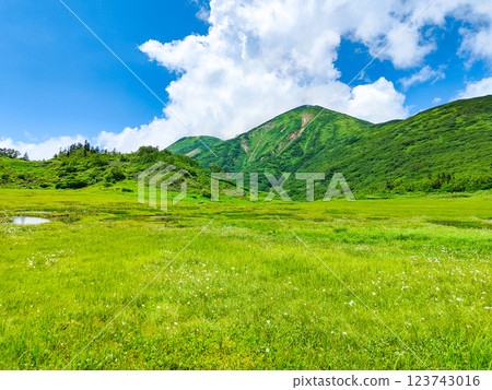 Hiuchiyama and Myokoyama mountain climbing in summer (Tengu Garden and Hiuchiyama) Hiuchiyama and Myokoyama mountain climbing in summer (Tengu Garden and Hiuchiyama) 123743016