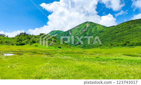 夏季登山火內山、妙高山(天狗庭園、火內山) 夏季登山火內山、妙高山(天狗庭園、火內山) 123743017
