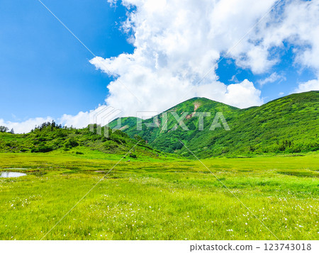 Hiuchiyama and Myokoyama mountain climbing in summer (Tengu Garden and Hiuchiyama) 123743018