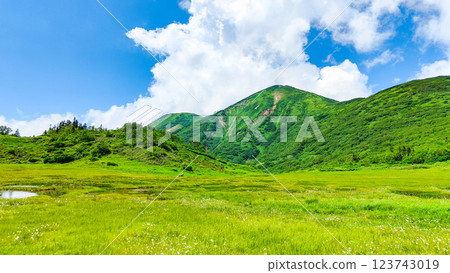 Hiuchiyama and Myokoyama mountain climbing in summer (Tengu Garden and Hiuchiyama) 123743019