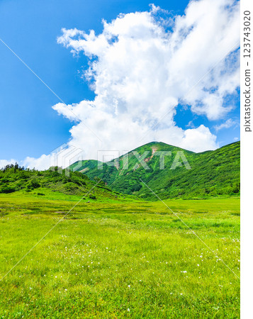 Hiuchiyama and Myokoyama mountain climbing in summer (Tengu Garden and Hiuchiyama) 123743020