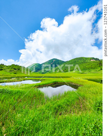 Hiuchiyama and Myokoyama mountain climbing in summer (Tengu Garden and Hiuchiyama) Hiuchiyama and Myokoyama mountain climbing in summer (Tengu Garden and Hiuchiyama) 123743101