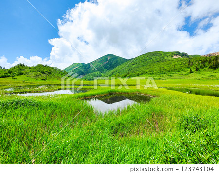 夏季登山火內山、妙高山（天狗庭園、火內山） 123743104