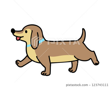 Dachshund 123743111