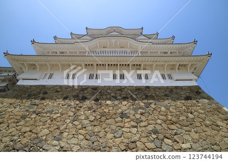 抬頭仰望世界遺產天守閣 123744194
