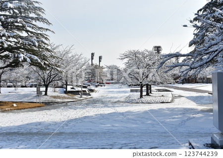 Snow scenery at Kaiseiyama Park Snow scenery at Kaiseiyama Park 123744239